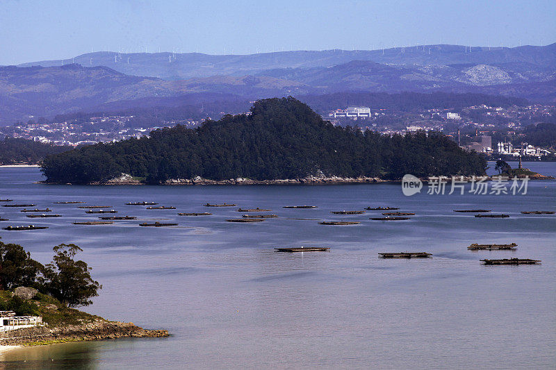 Ria de Pontevedra, bateas和Tambo岛背景在Rías Baixas, Pontevedra省，加利西亚，西班牙。